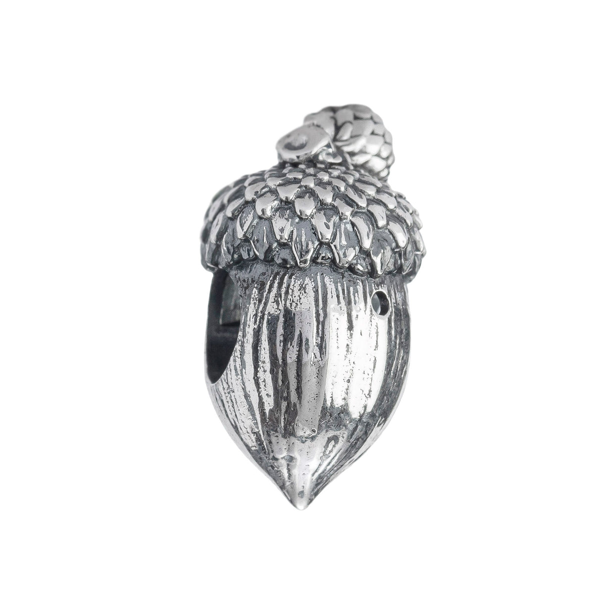 Acorn Family