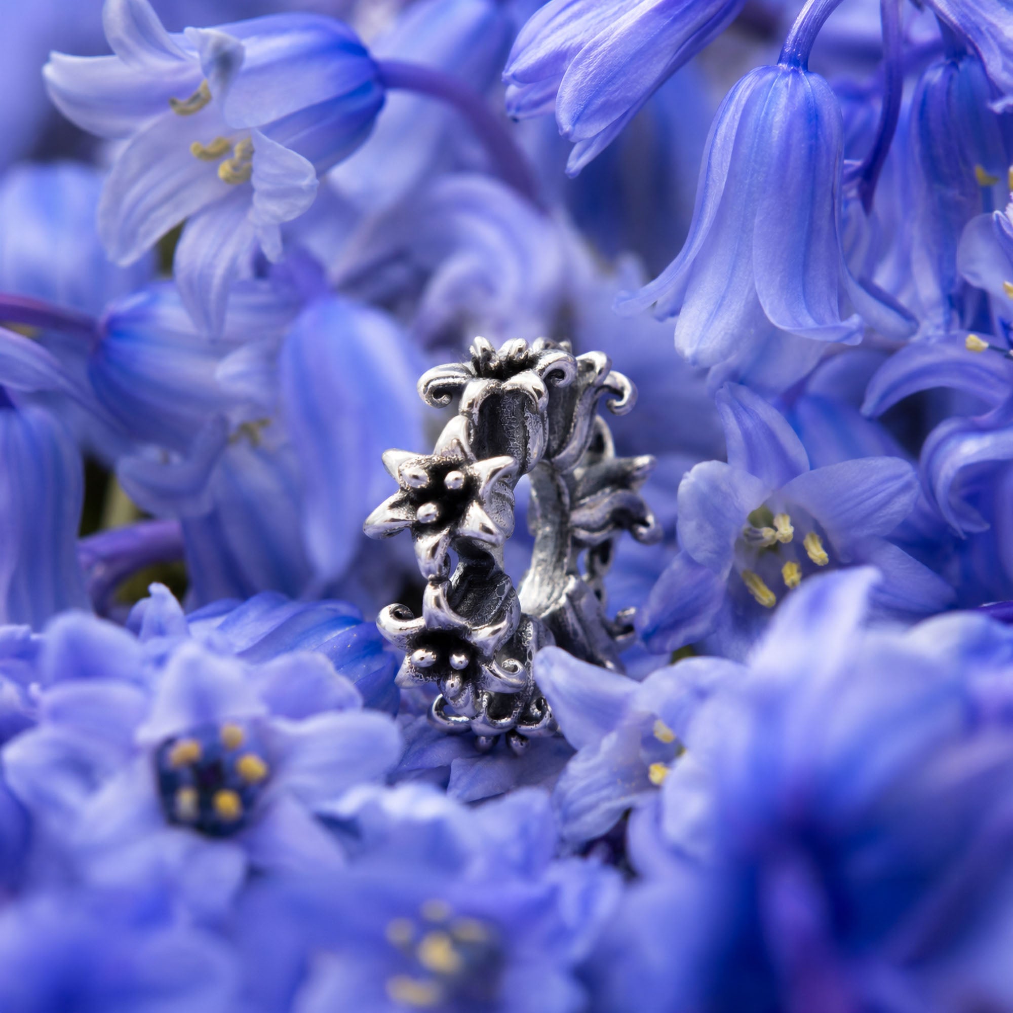 Bluebells