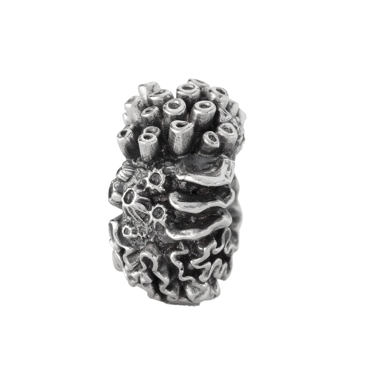 Coral Reef Spacer