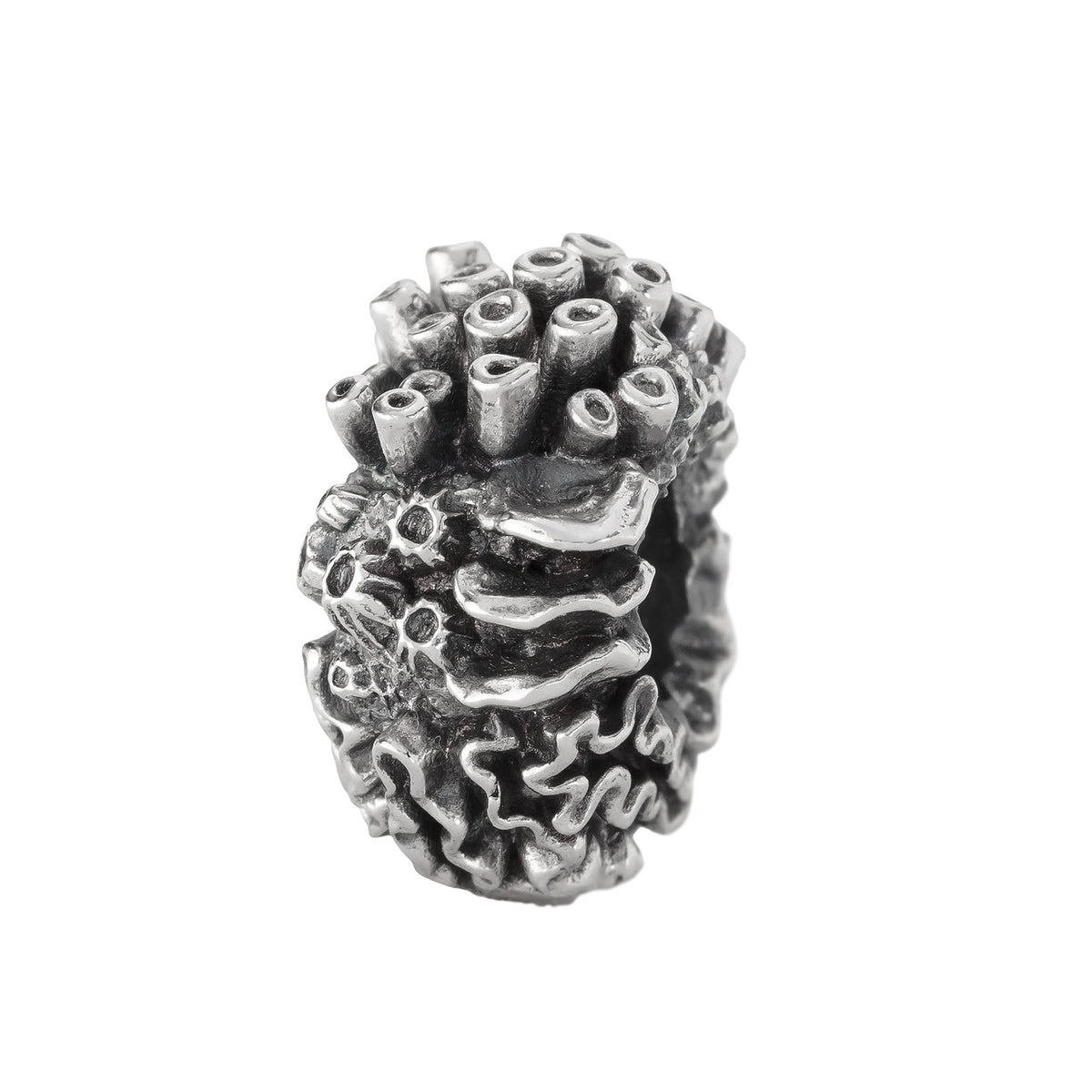 Coral Reef Spacer