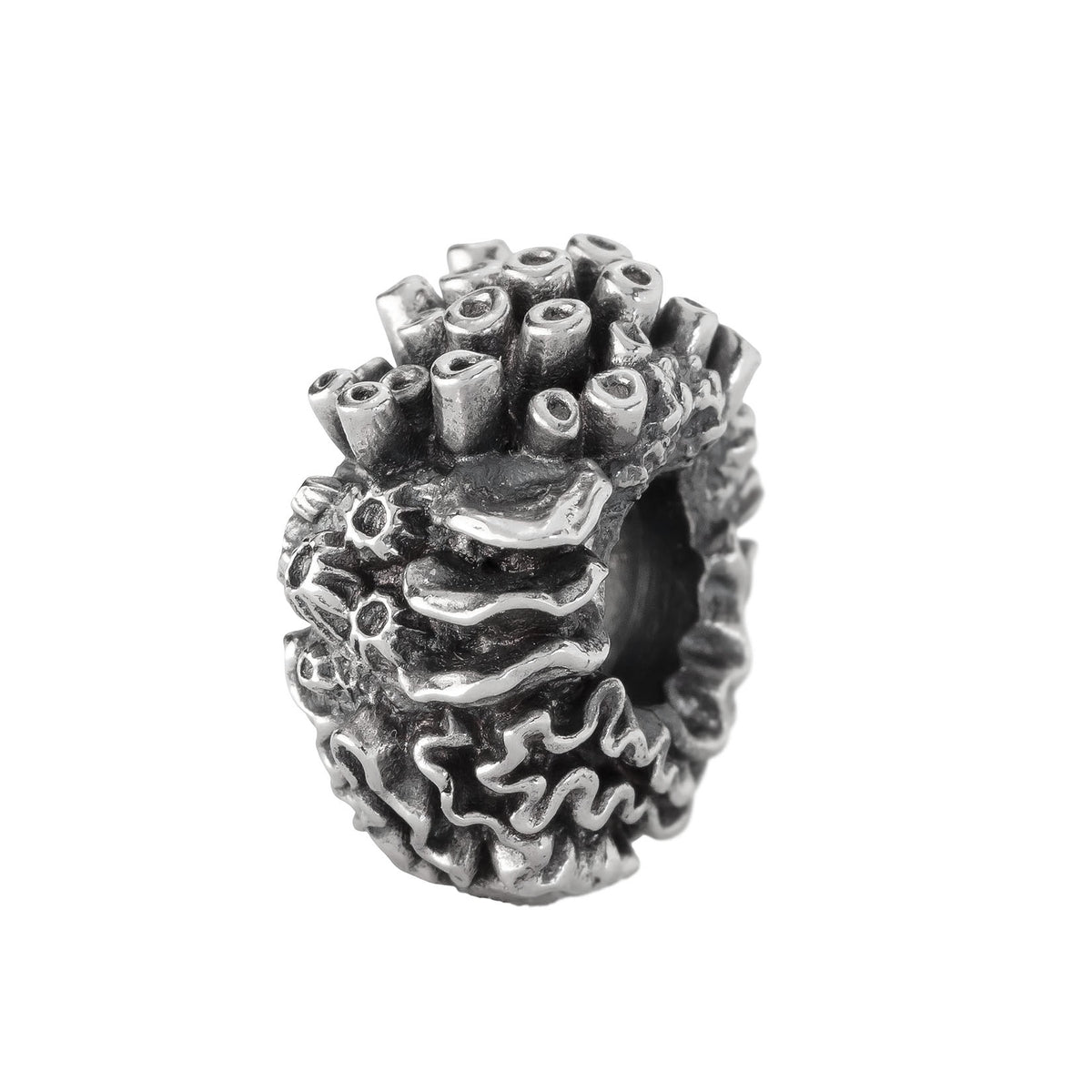 Coral Reef Spacer