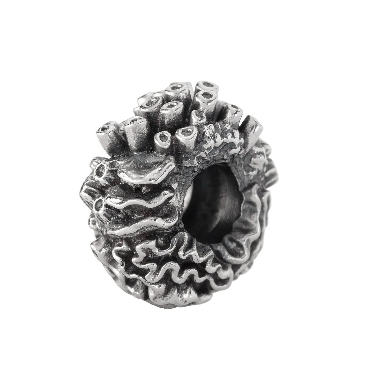 Coral Reef Spacer
