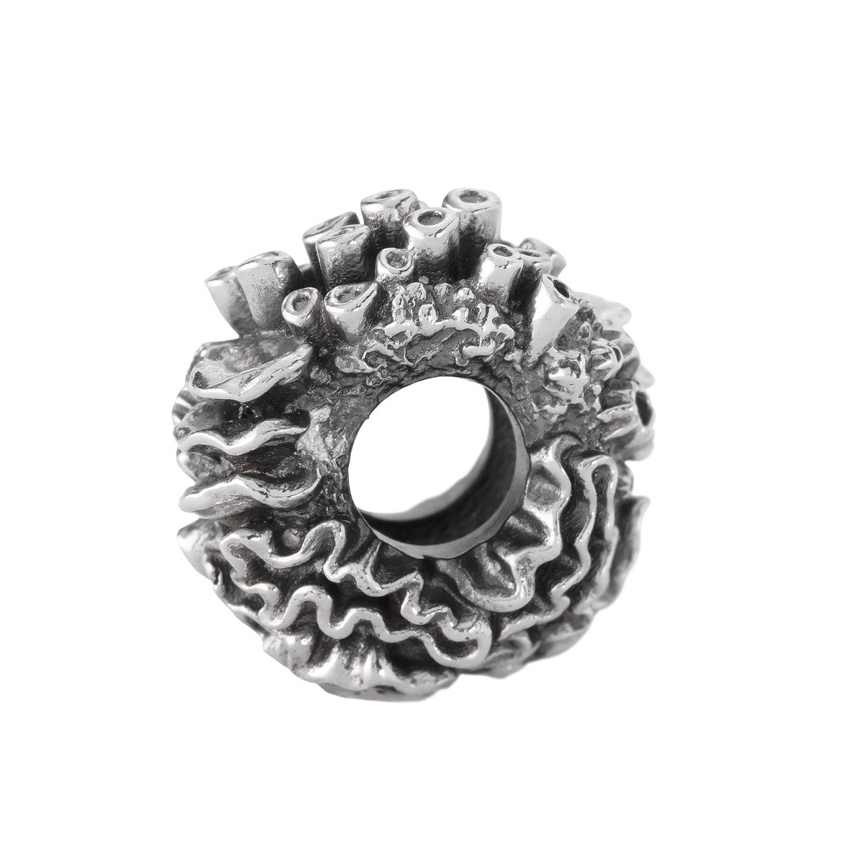 Coral Reef Spacer