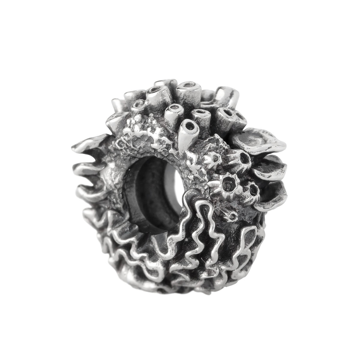 Coral Reef Spacer