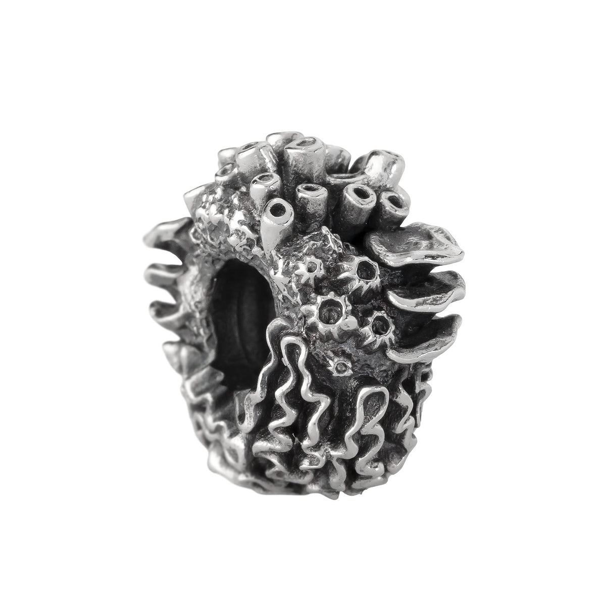 Coral Reef Spacer