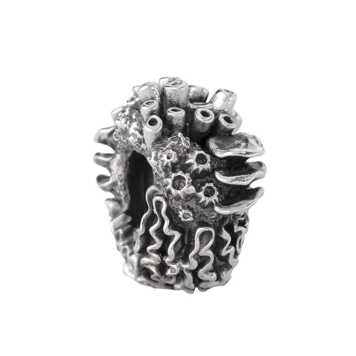 Coral Reef Spacer