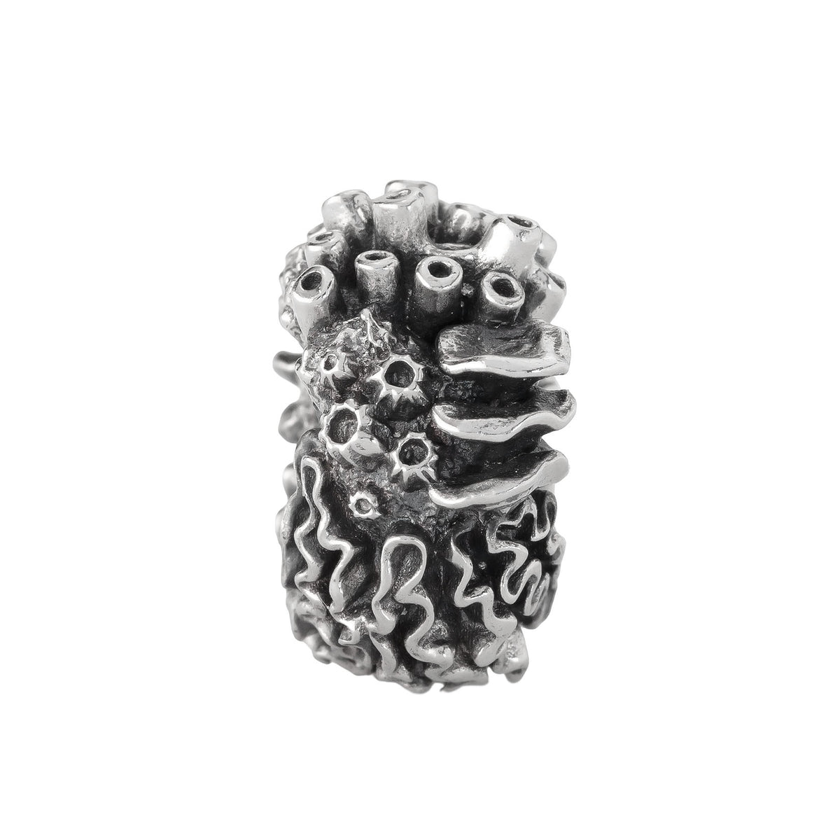 Coral Reef Spacer