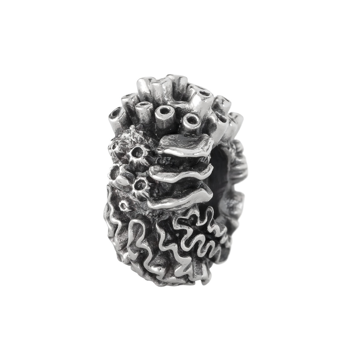 Coral Reef Spacer