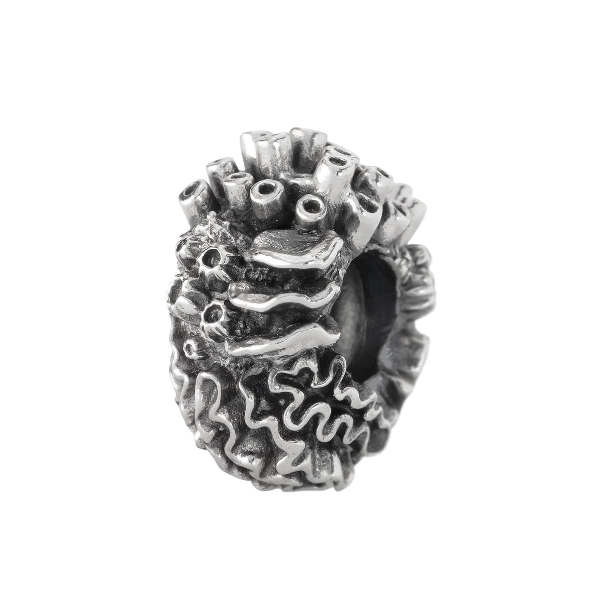 Coral Reef Spacer