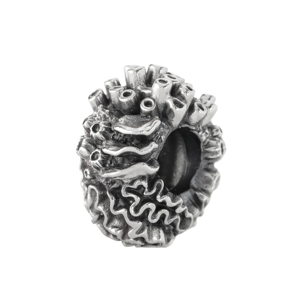 Coral Reef Spacer