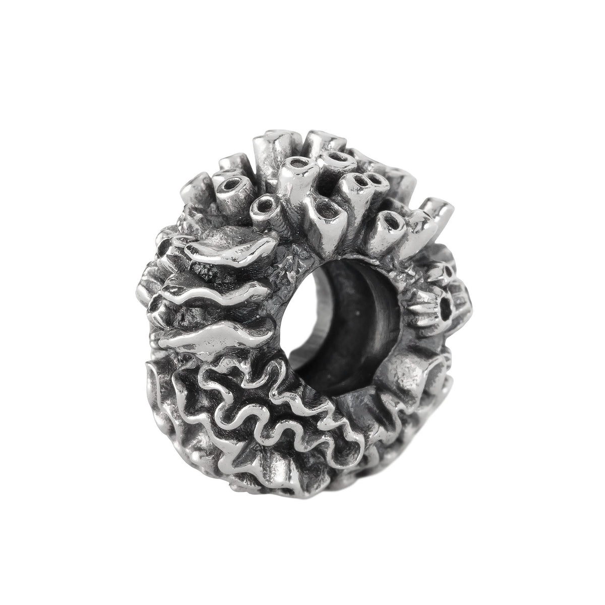 Coral Reef Spacer