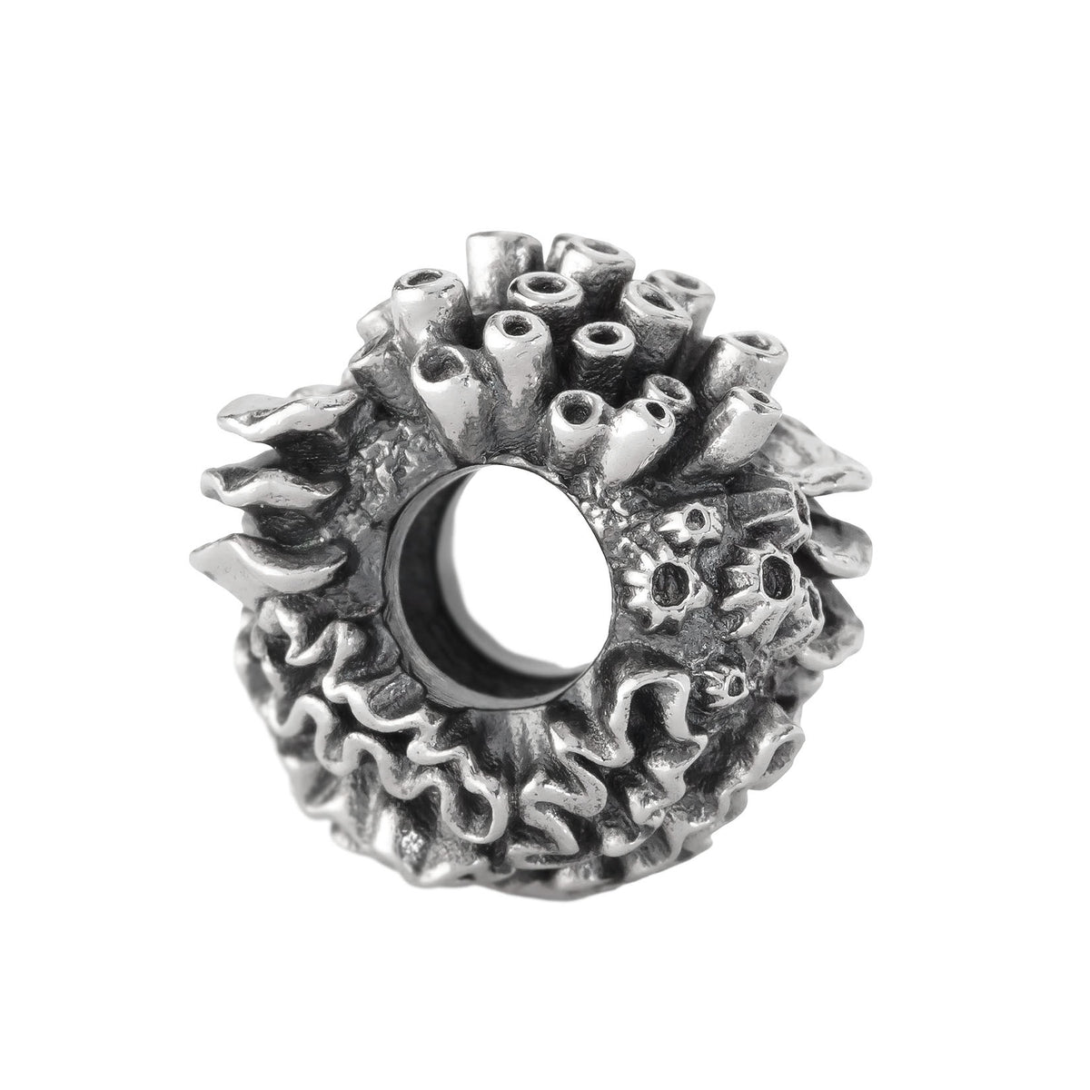 Coral Reef Spacer