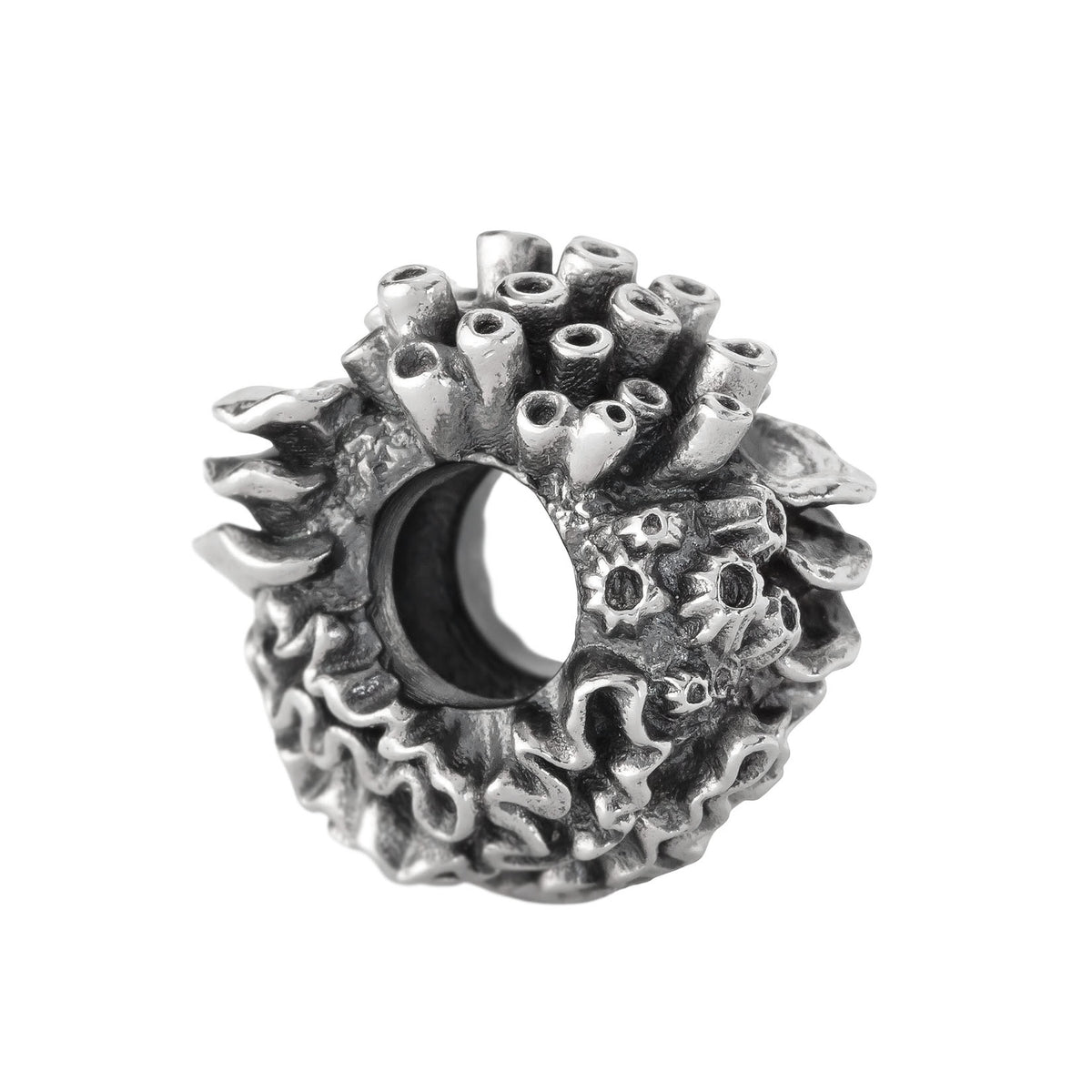 Coral Reef Spacer
