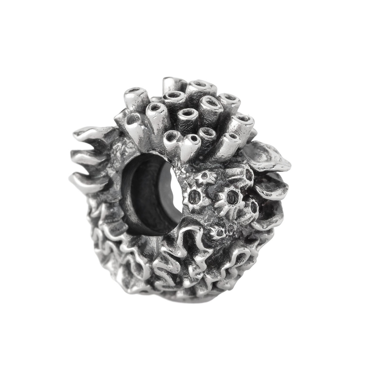Coral Reef Spacer