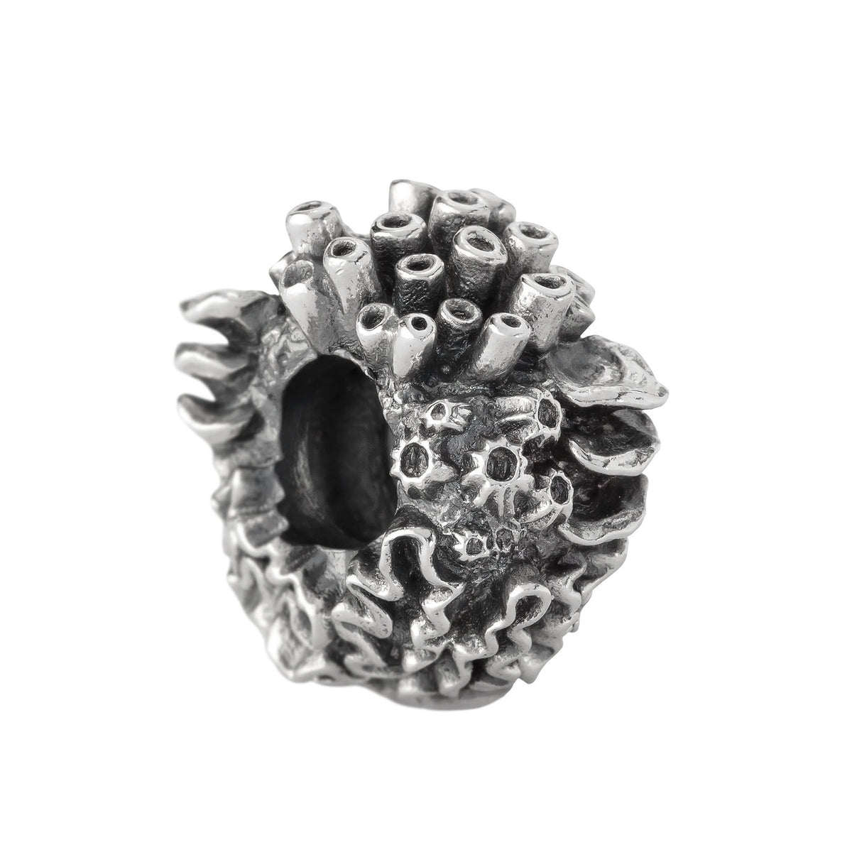 Coral Reef Spacer