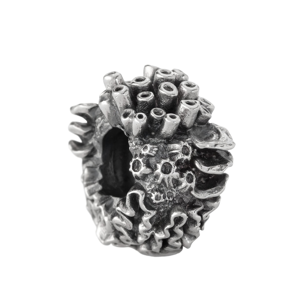 Coral Reef Spacer