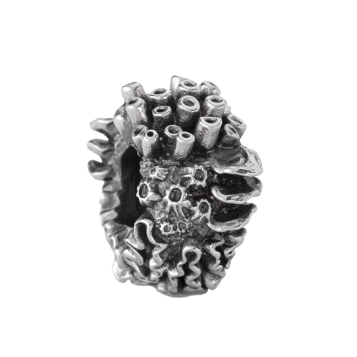 Coral Reef Spacer