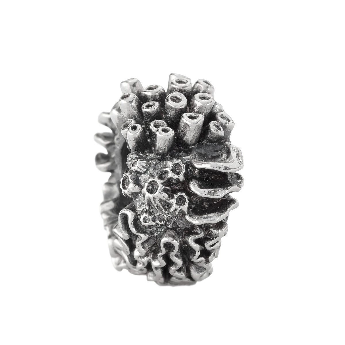 Coral Reef Spacer
