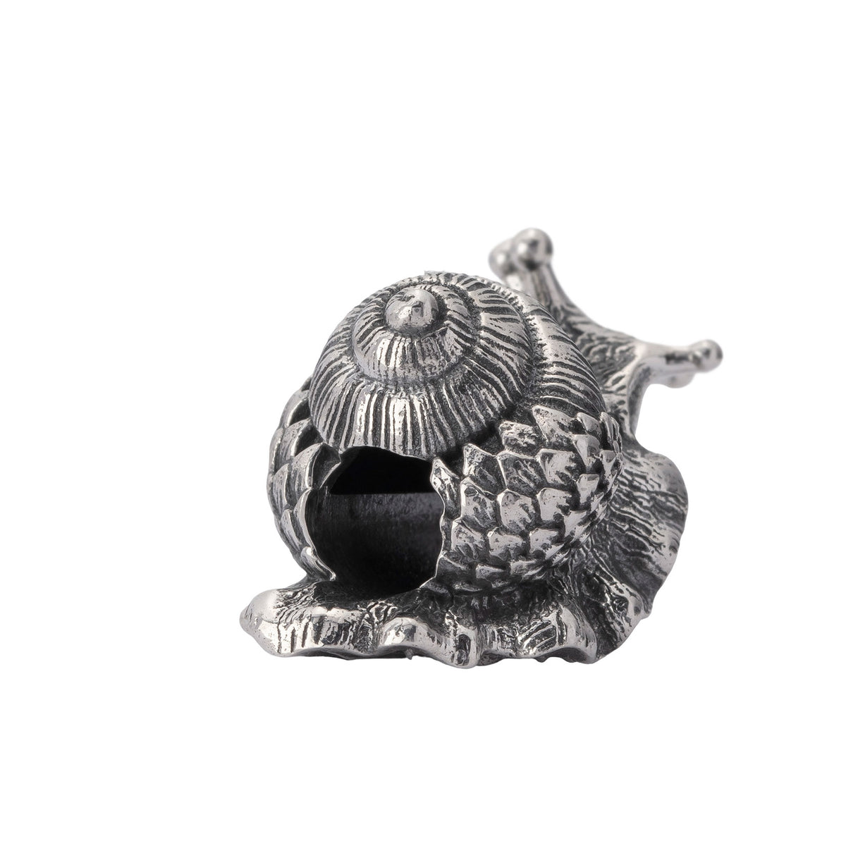 Oakleaf Snail