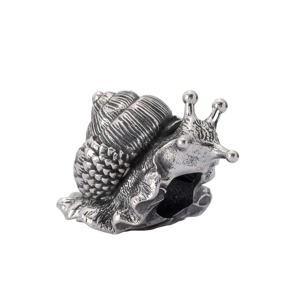 Oakleaf Snail