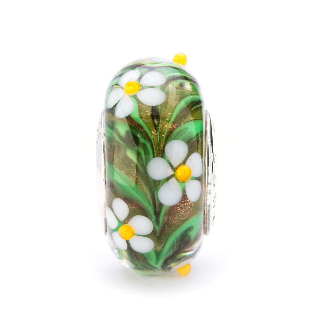 Sunny Meadow Daisies