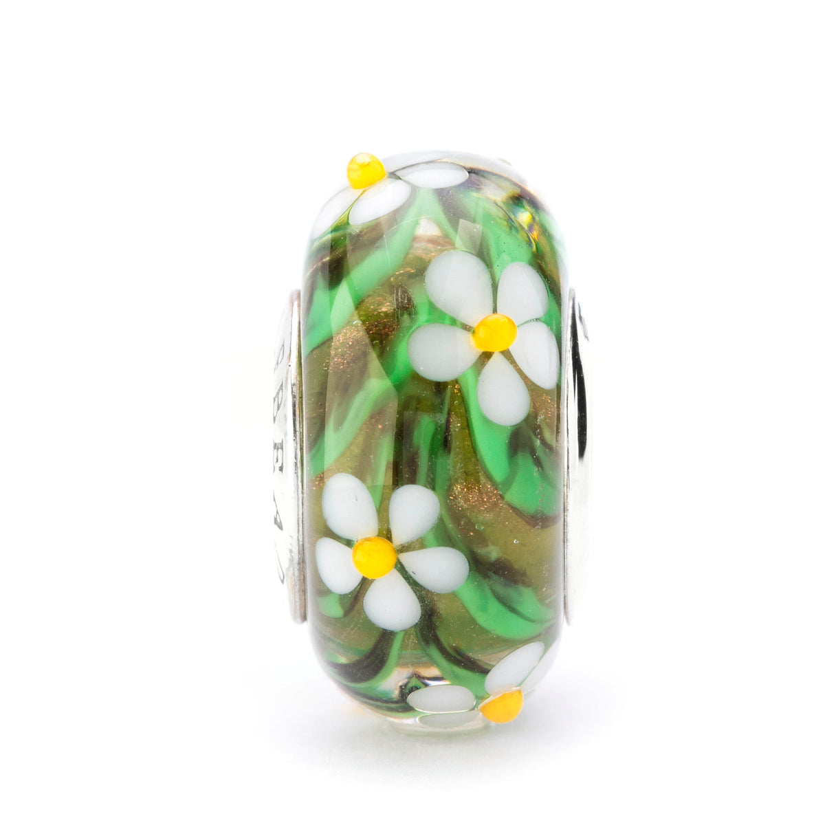 Sunny Meadow Daisies