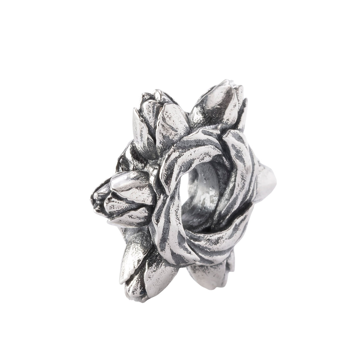 Tulip Embrace