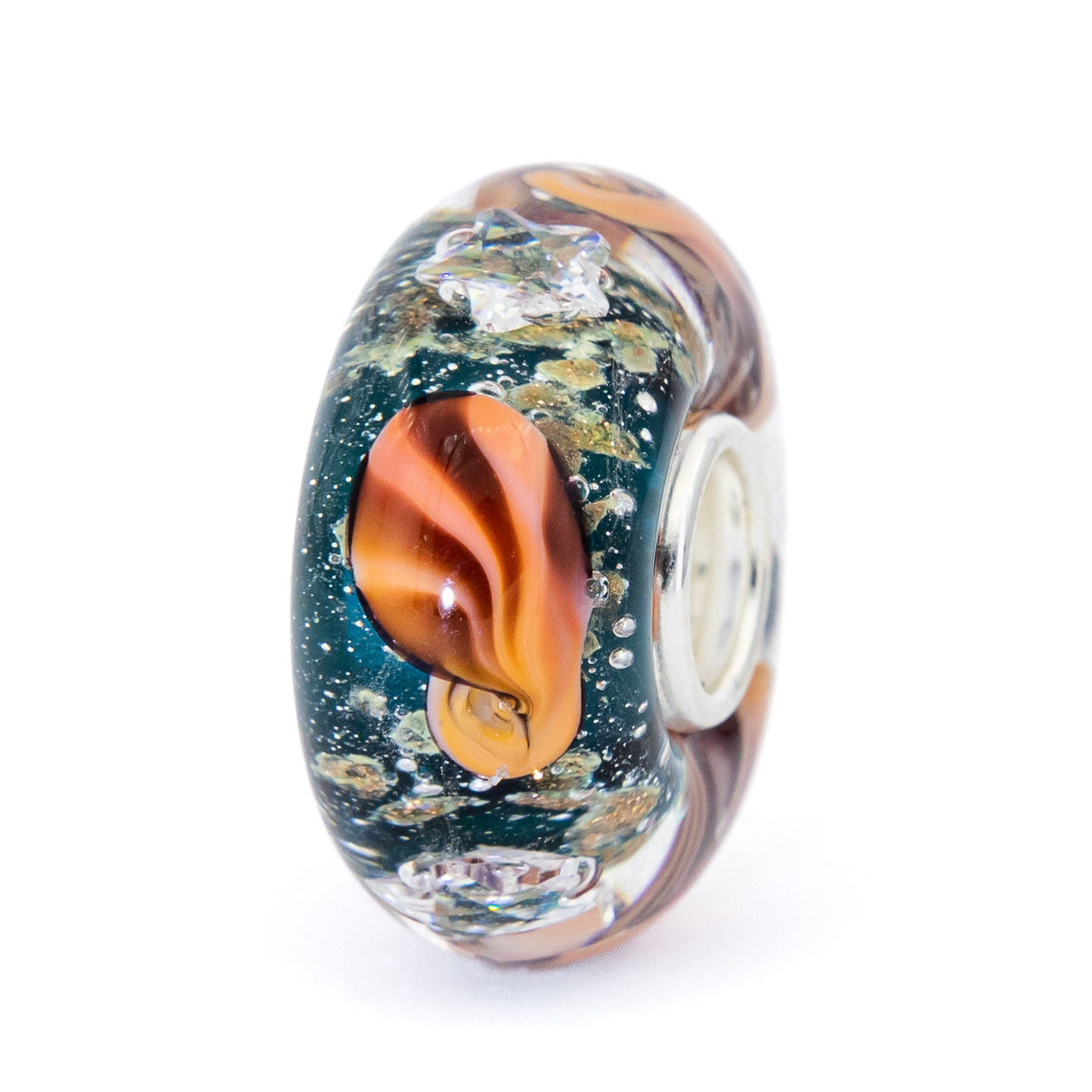 Ocean Seashell Shimmering