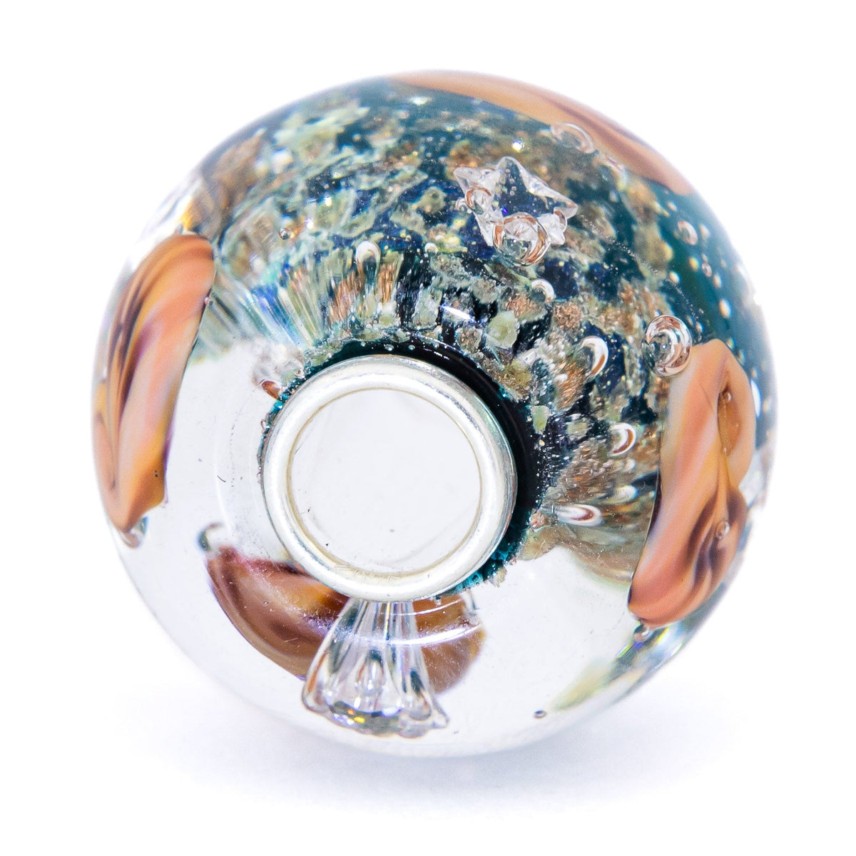 Ocean Seashell Shimmering World