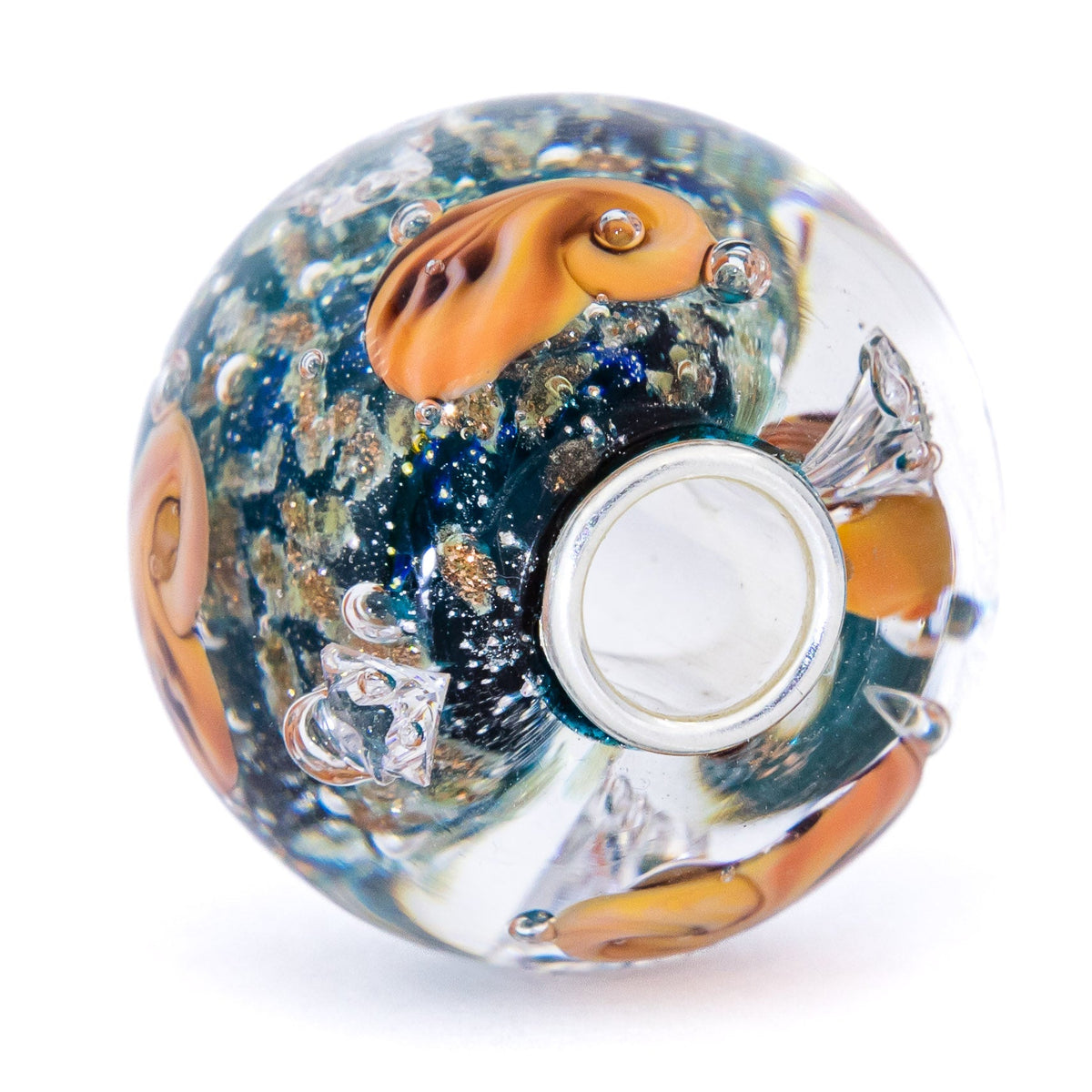 Ocean Seashell Shimmering World