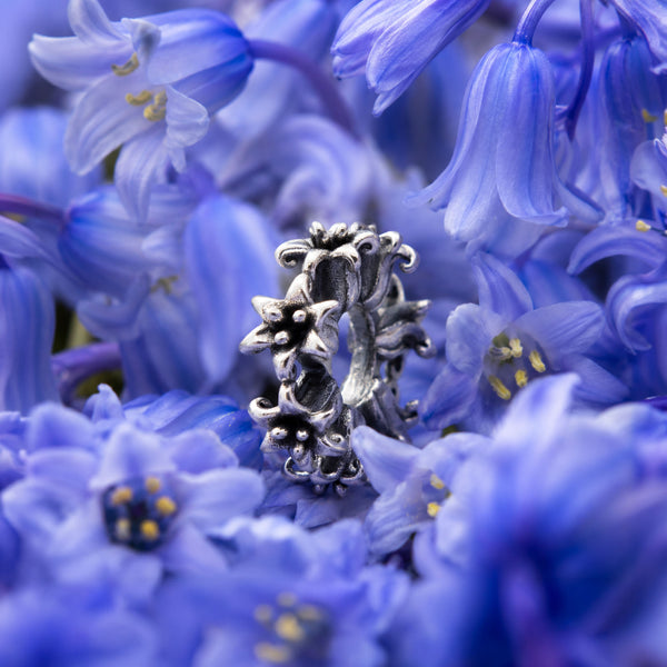 Bluebells