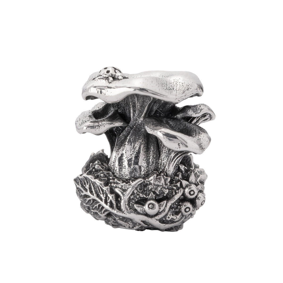 Chanterelle Family