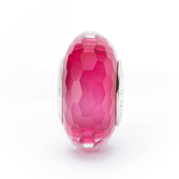 Fuchsia Fractal