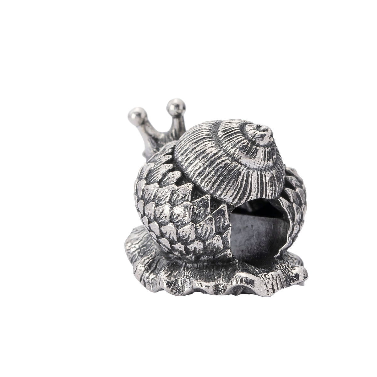 Oakleaf Snail