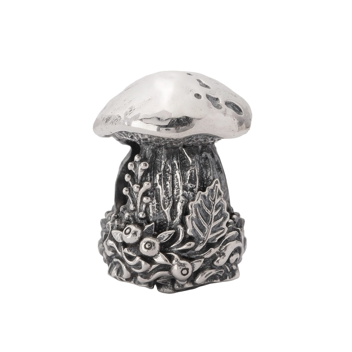 Porcini Treasure