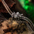 Heart Spider