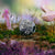 Secret Blossom Ball