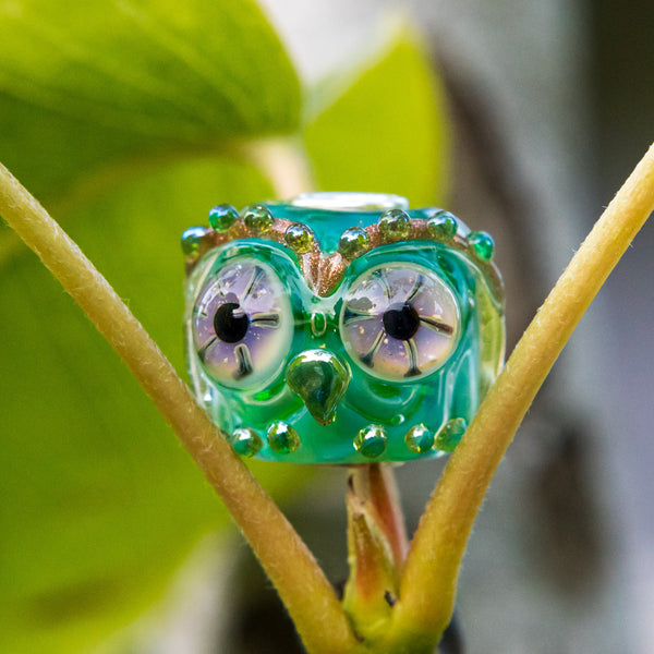 Spring Owl