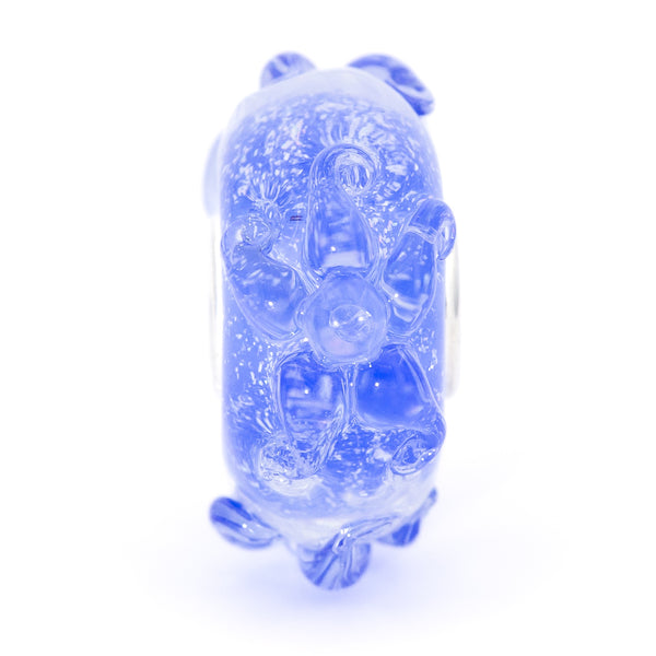 Ice Blue Edelweiss