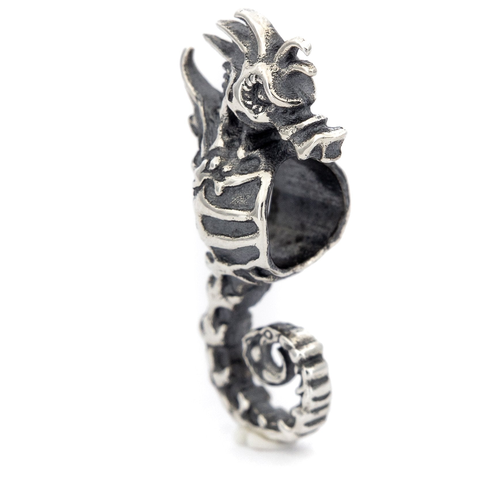 Skeleton Seahorse