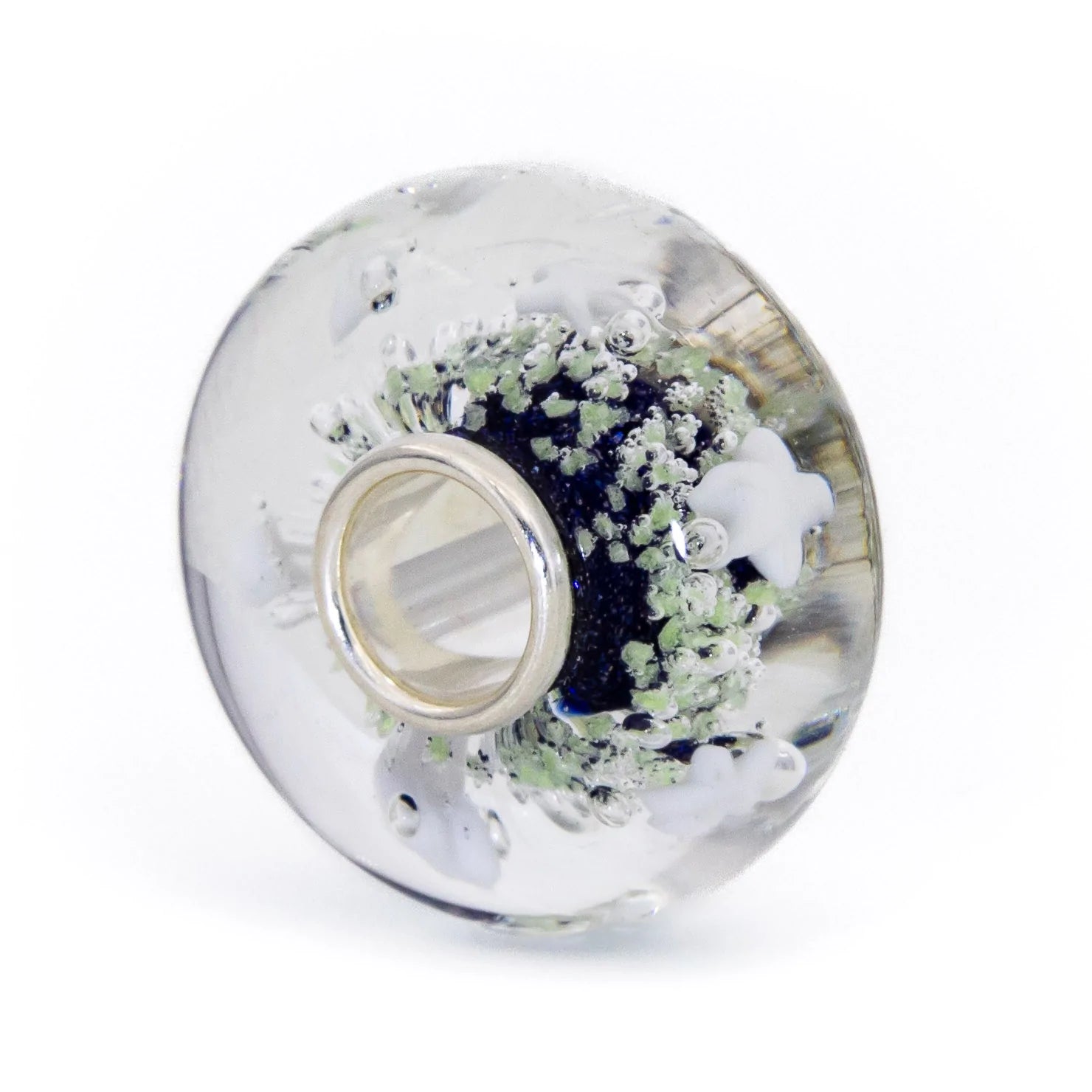 Star Aurora Starlight